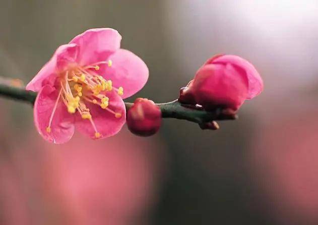 春暖花開(kāi)Sex8最新地址，探索與遇見(jiàn)